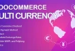 CURCY - WooCommerce Multi Currency - Currency Switcher