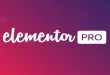 Elementor PRO v3.10.1 Nulled