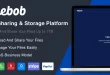 Filebob - File Sharing And Storage Platform (SAAS Ready)