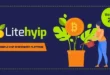 LiteHYIP - Simple HYIP Investment Platform