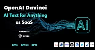 OpenAI Davinci - AI Writing Assistant and Content Creator as SaaS