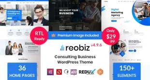 Reobiz - Consulting Business WordPress Theme